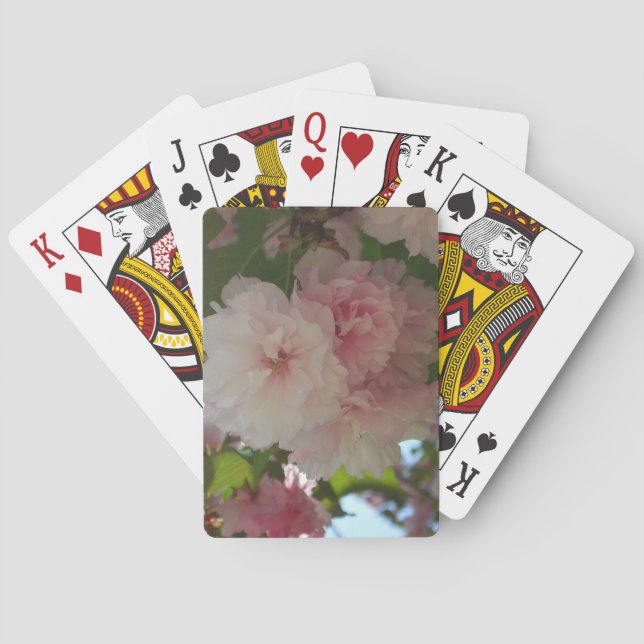 Doppelblühende Kirschbaum I Frühjahrsblüte Spielkarten (Rückseite)