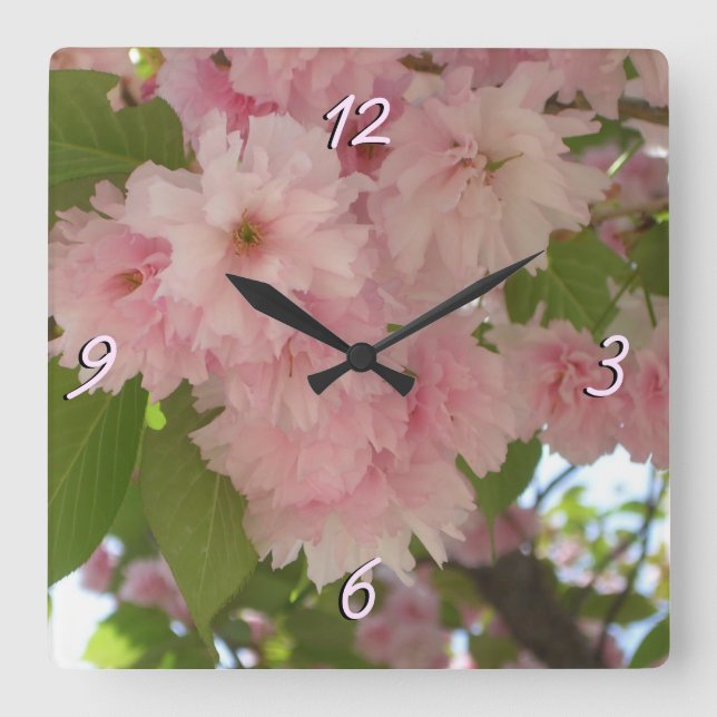 Doppelblühende Kirschbaum II Frühlingsflora Quadratische Wanduhr (Vorderseite)