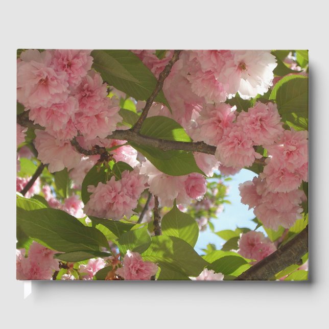 Doppelblühende Kirschbaum III Frühlingsflora Gästebuch (Vorderseite)