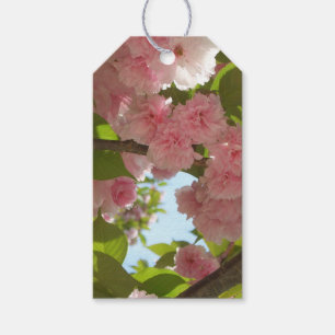 Doppelblühende Kirschbaum III Frühlingsflora Geschenkanhänger