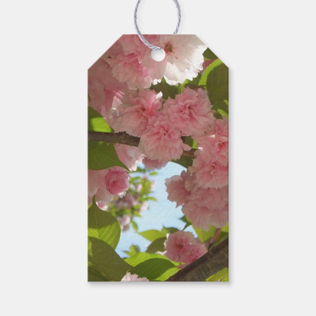 Doppelblühende Kirschbaum III Frühlingsflora Geschenkanhänger (Vorderseite)