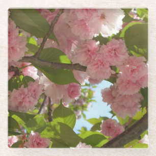 Doppelblühende Kirschbaum III Frühlingsflora Glasuntersetzer