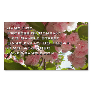 Doppelblühende Kirschbaum III Frühlingsflora Magnetische Visitenkarte