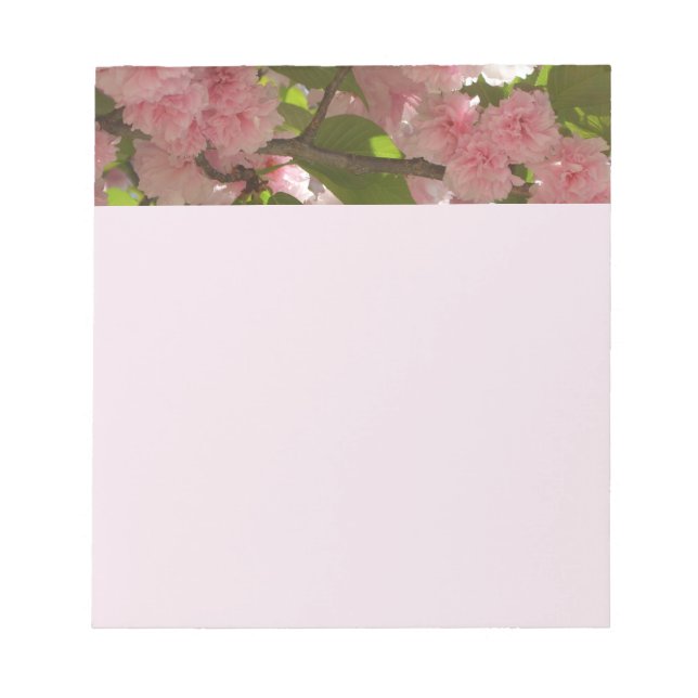 Doppelblühende Kirschbaum III Frühlingsflora Notizblock (Vorderseite)