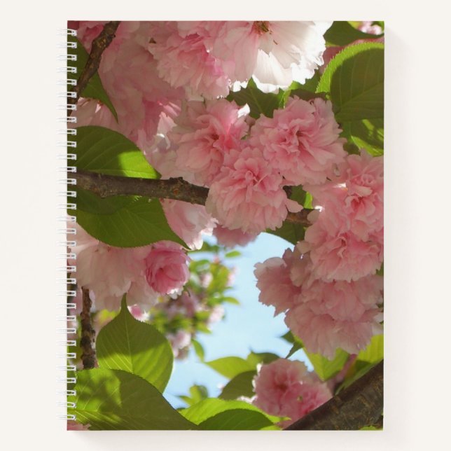 Doppelblühende Kirschbaum III Frühlingsflora Notizbuch (Vorderseite)