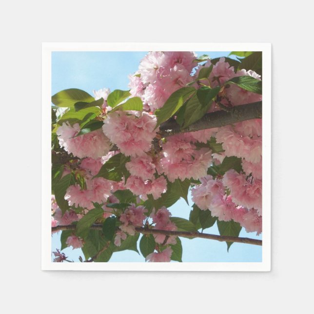 Doppelblühende Kirschbaum IV Frühjahr Serviette (Vorderseite)