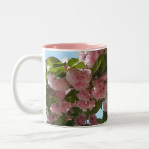 Doppelblühende Kirschbaum IV Frühjahr Zweifarbige Tasse