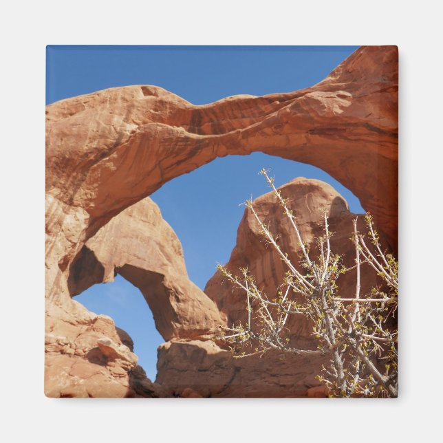 Doppelbogen im Arches National Park Magnet (Vorne)