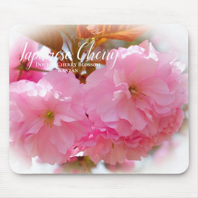 Doppelkirschblossom: Kanzan Mousepad (Vorne)