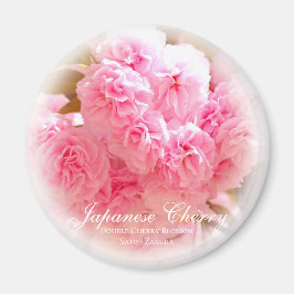 Doppelkirschblossom: Sato-zakura Magnet