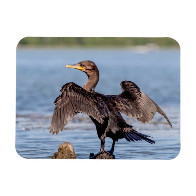 Doppelkreuzer Kormoran am Champlain See Magnet (Horizontal)