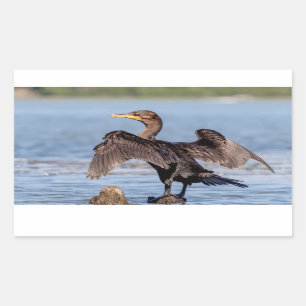Doppelkreuzer Kormoran am Champlain See Rechteckiger Aufkleber