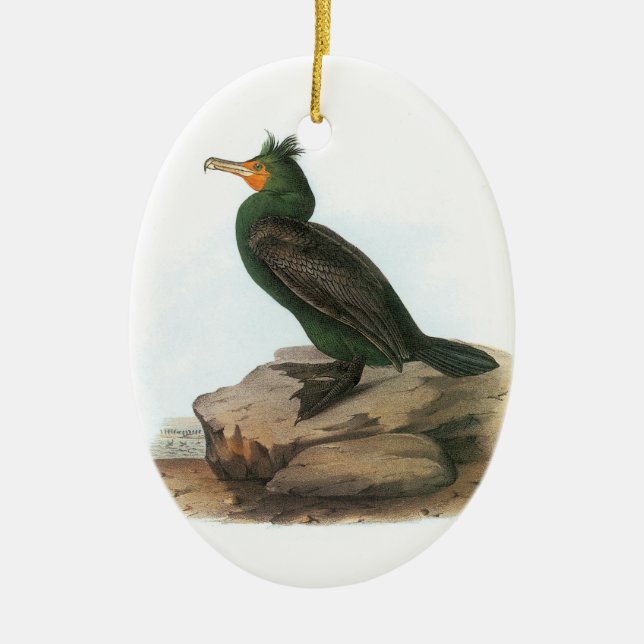 Doppelkreuzer Kormoran von Audubon Keramik Ornament (Vorne)