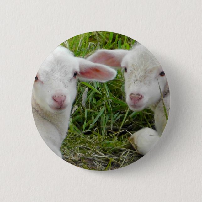 Doppellamm-Baby-Tierdenken an Sie Button (Vorderseite)