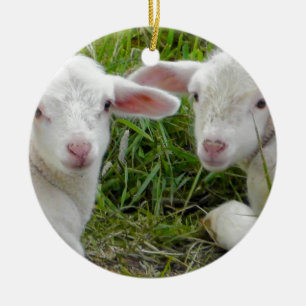 Doppellamm-Baby-Tierdenken an Sie Keramik Ornament