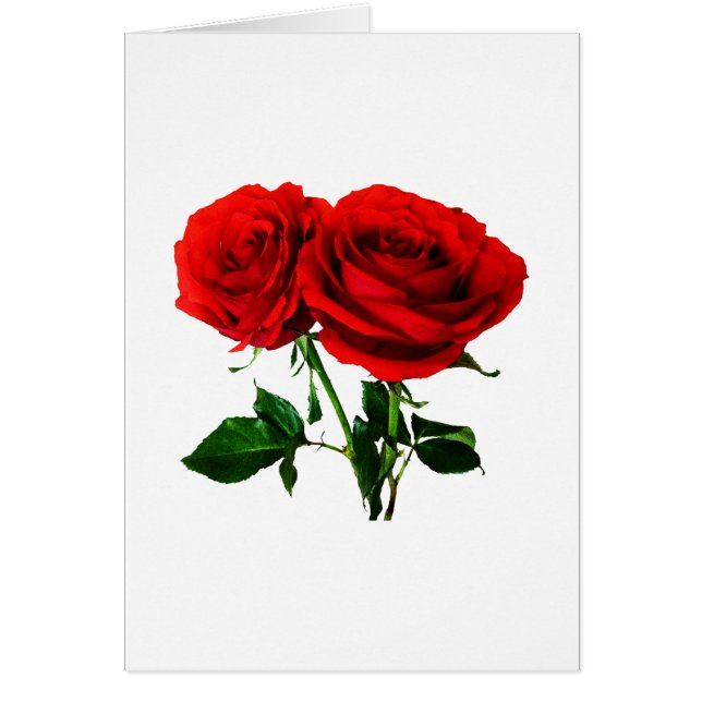 Doppelrote Rosen (Vorne)