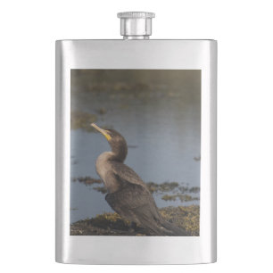 Doppelschnabelkormoran Flachmann