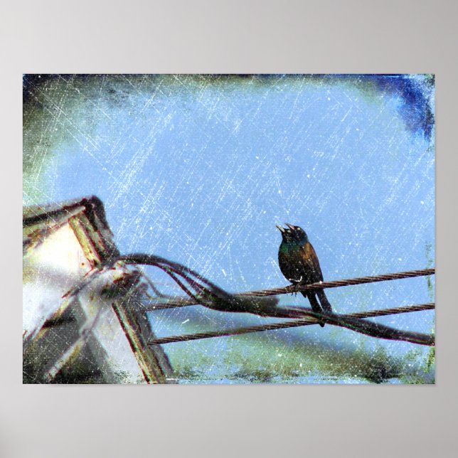 Doppelsicht Poster (Vorne)