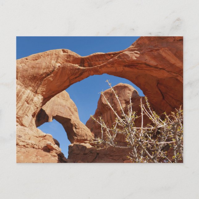 Doppelte Arche im Nationalpark Arches Postkarte (Vorderseite)