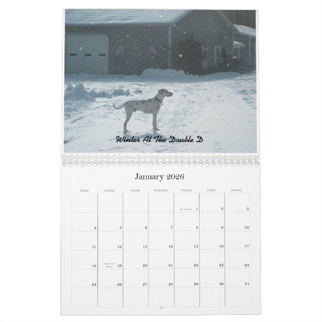 Doppelte d-Dalmatiner 2010 Kalender (Jan 2026)