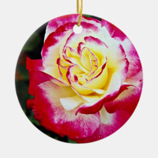 Doppelte Freuden-hybrider Tee-Rose "Andeli" weißer Keramikornament