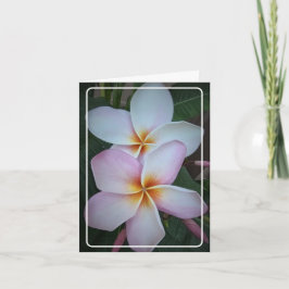Doppelte Halo Plumeria geklappte Grußkarte Karte