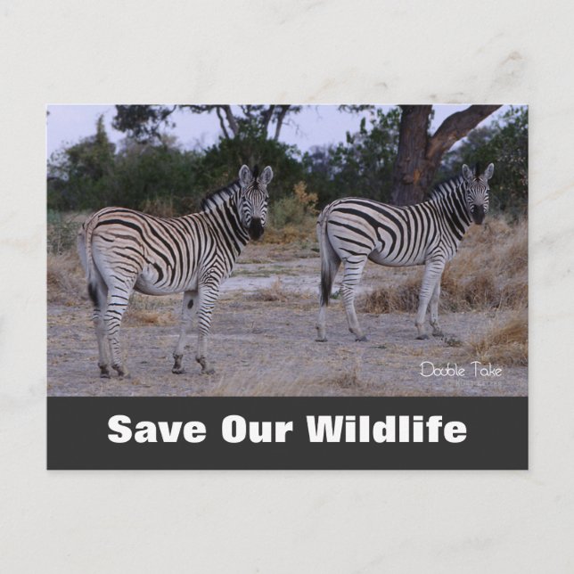 Doppelte Karte, Rett unsere Wildlife Postkarte (Vorderseite)