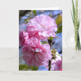 Doppelte Kirschblüten Karte