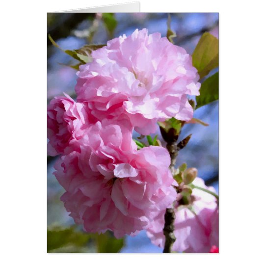 Doppelte Kirschblüten Karte