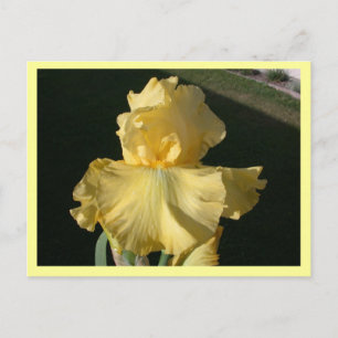 Doppelter Agent Postkarte