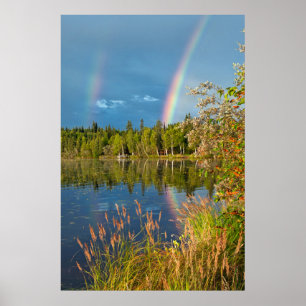 Doppelter Regenbogen - Birch See-Plakat Poster