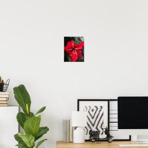 doppelter tropischer Hibiskus Poster