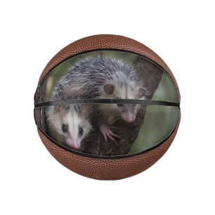 Doppeltes Durcheinander im Blätterdach: Zwillingsp Mini Basketball