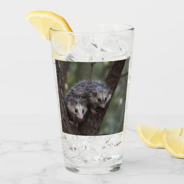 Doppeltes Problem in der Canopy: Zwei Possummen Glas (Vorderseite Ice)