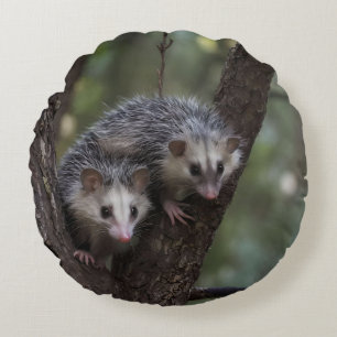 Doppeltes Problem in der Canopy: Zwei Possummen Rundes Kissen