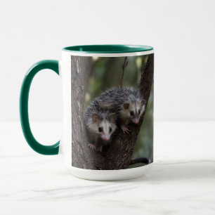 Doppeltes Problem in der Canopy: Zwei Possummen Tasse
