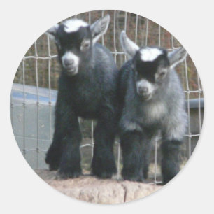 Doppeltes Problem Runder Aufkleber