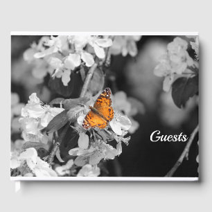 D'or Papillon Américain Lady Sur Blossom Livre D'Invité
