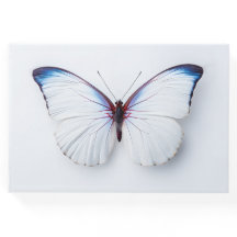 Papillon du livre d'invités funéraires