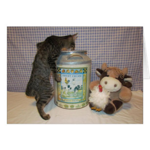 Dora - die Beste vom Besten