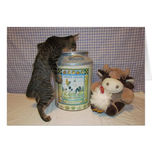 Dora - die Beste vom Besten (Vorderseite (Horizontal))