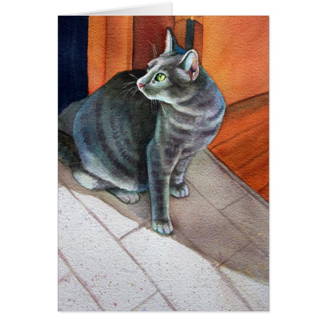 Dora, le chat gris Tabby, (Devant)