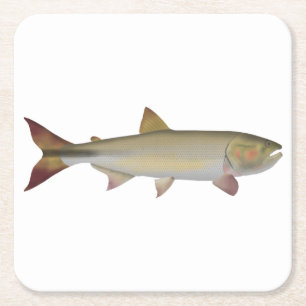 Dorado Rechteckiger Pappuntersetzer