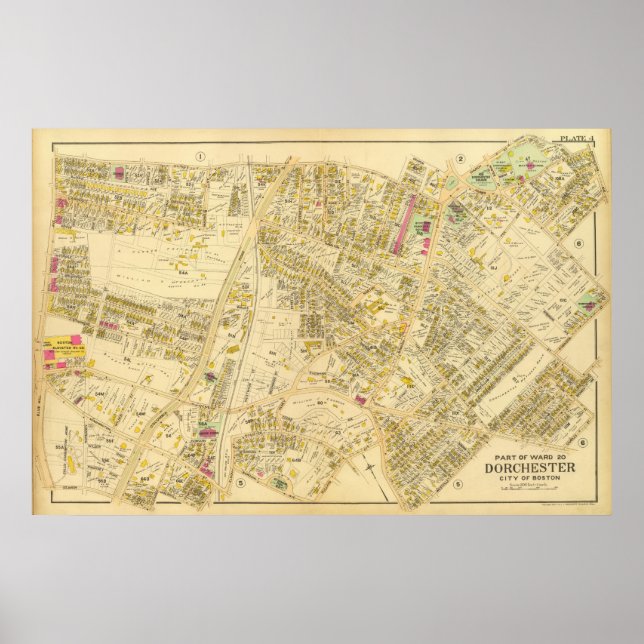 Dorchester, Massachusetts 7 Poster (Vorne)