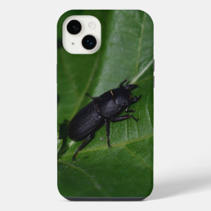 Dorcus parallelipipedus, der Kleine Hirschkäfer iPhone 14 Plus Hülle