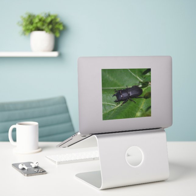 Dorcus parallelipipedus , der kleinere Hirschkäfer Aufkleber (Laptop auf Schreibtisch)