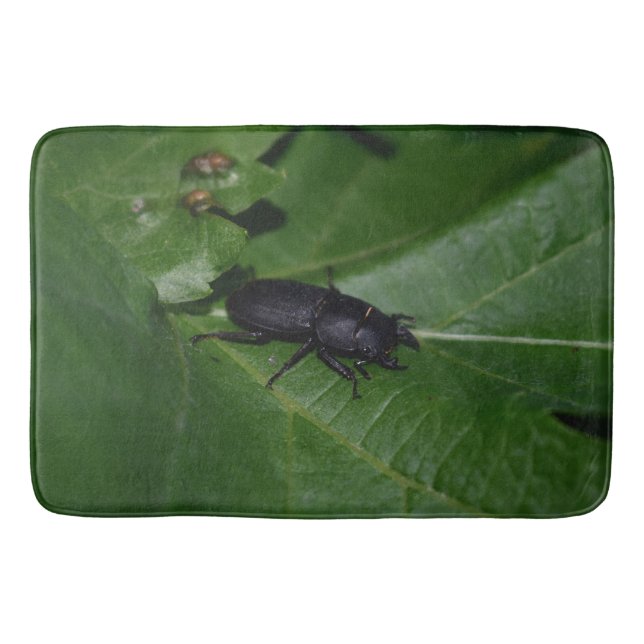 Dorcus parallelipipedus , der kleinere Hirschkäfer Badematte (Vorderseite)