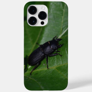 Dorcus parallelipipedus , der kleinere Hirschkäfer Case-Mate iPhone 14 Pro Max Hülle