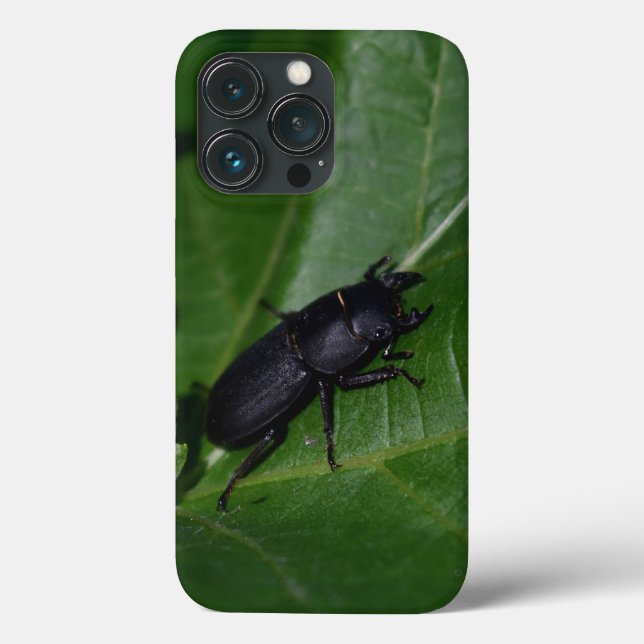 Dorcus parallelipipedus , der kleinere Hirschkäfer Case-Mate iPhone Hülle (Rückseite)