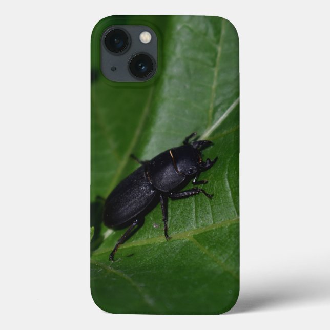 Dorcus parallelipipedus , der kleinere Hirschkäfer Case-Mate iPhone Hülle (Rückseite)